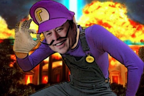 Elon Musk is the Right's Luigi